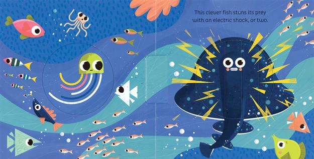 In the Ocean - Animal Magic