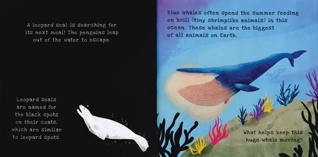 Oceans - Shine-a-Light