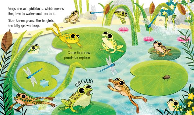 One Little Frog