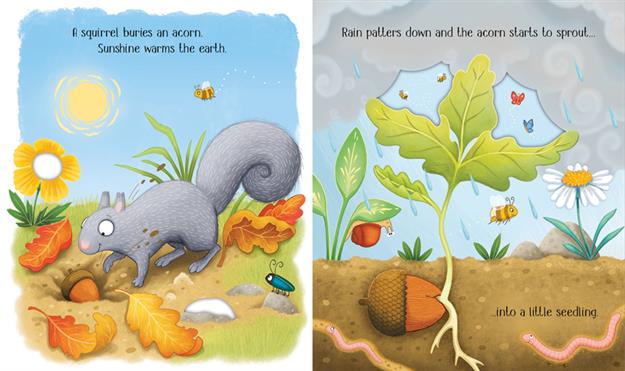 One Little Tree - Usborne Life Cycles