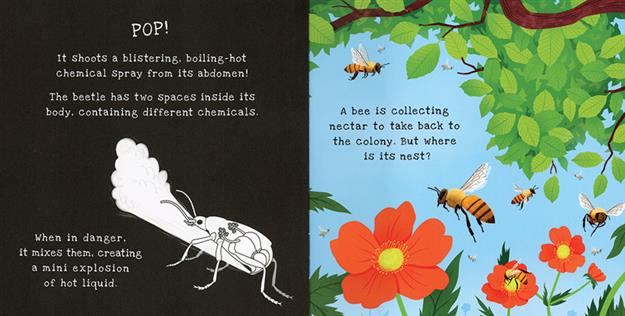 Backyard Bugs - Shine-a-Light
