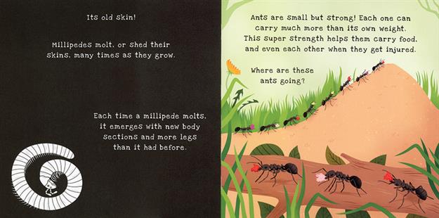 Backyard Bugs - Shine-a-Light